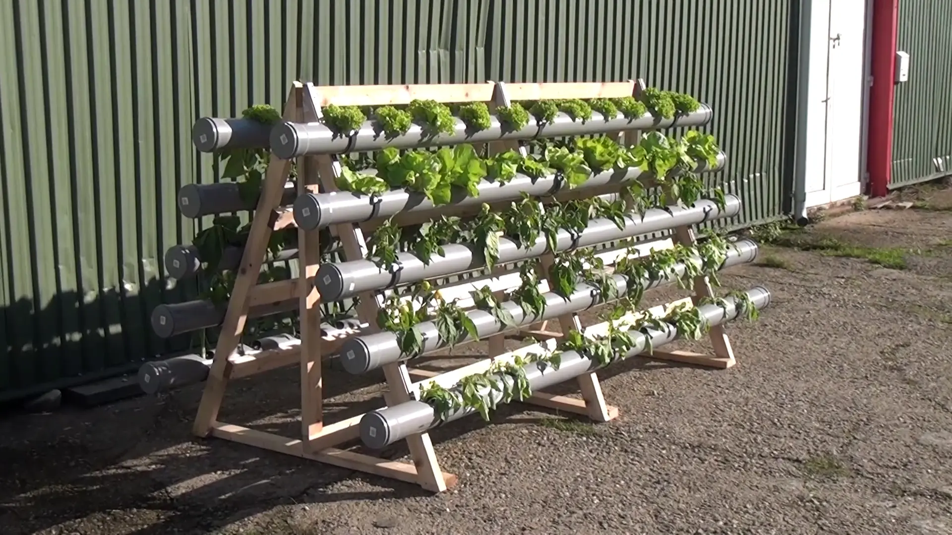 Food Growing out of pipes